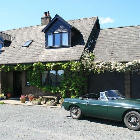 Ty Carreg Bed and Breakfast Llanwrtyd Wells Zewnętrze zdjęcie