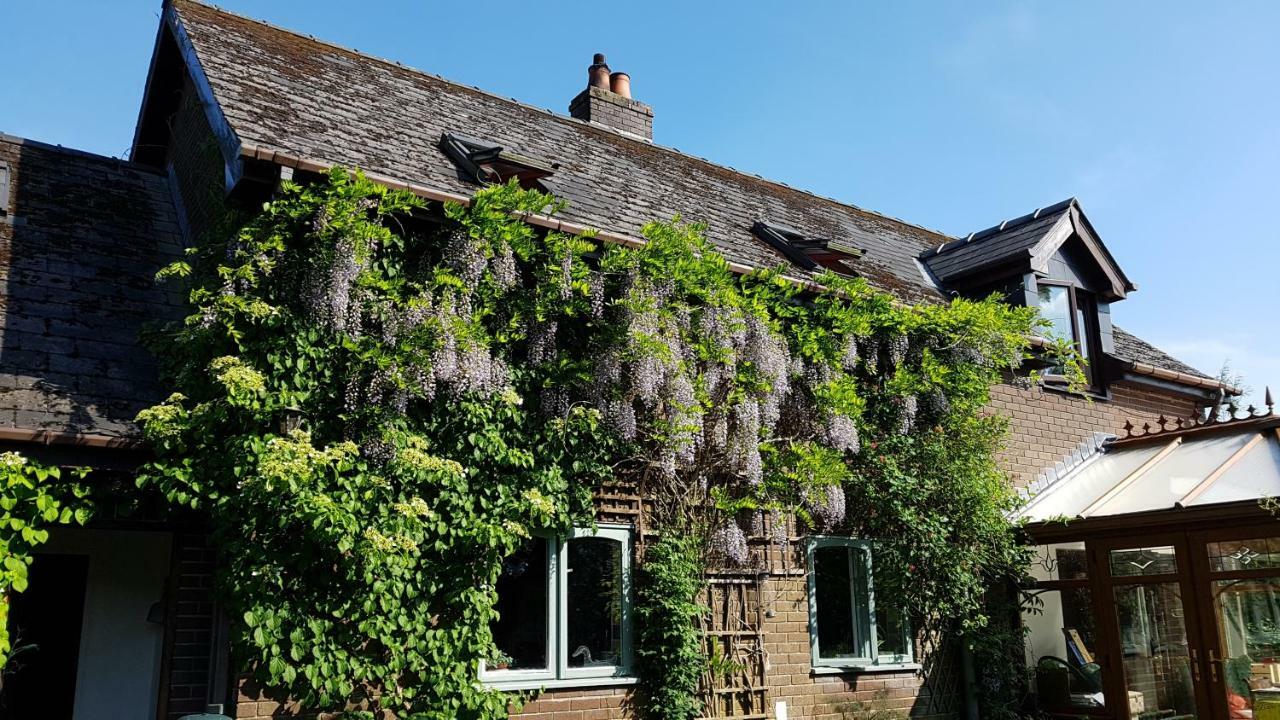 Ty Carreg Bed and Breakfast Llanwrtyd Wells Zewnętrze zdjęcie